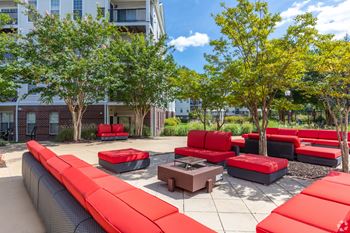 Bbq and picnic area with gas grills